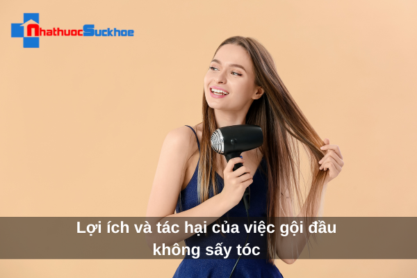 Lợi ích và tác hại của việc gội đầu không sấy tóc