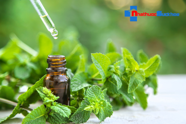 Đắp mặt nạ tóc với tinh dầu bạc hà