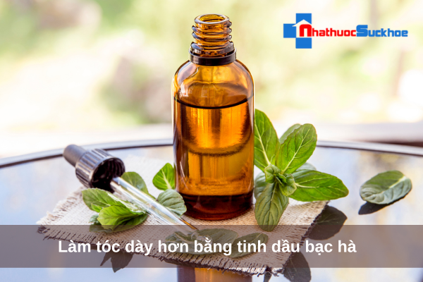 Làm tóc dày hơn bằng tinh dầu bạc hà