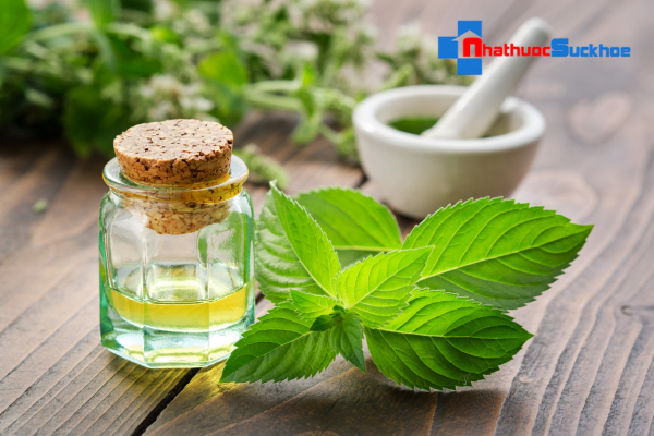 Tinh dầu bạc hà là gì