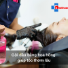 Gội đầu bằng hoa hồng giúp tóc thơm lâu