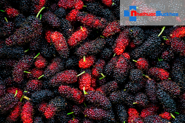 Dâu tằm siêu dưỡng chất cho mái tóc