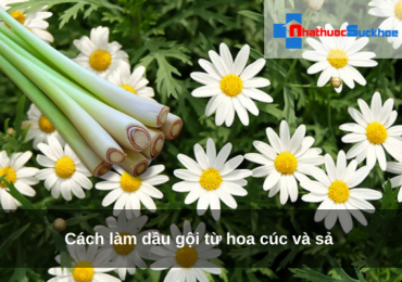 Cách làm dầu gội từ hoa cúc và sả