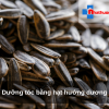 Dưỡng tóc bằng hạt hướng dương