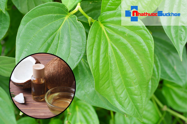 Bao lâu thì thấy hiệu quả?