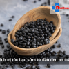 Cách trị tóc bạc sớm từ đậu đen an toàn