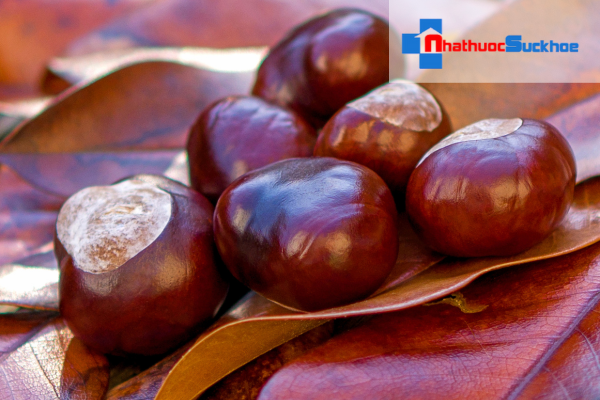 Chống lão hóa nang tóc