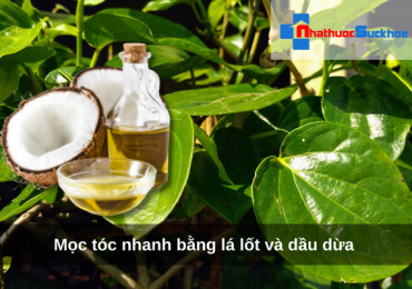 Mọc tóc nhanh bằng lá lốt và dầu dừa