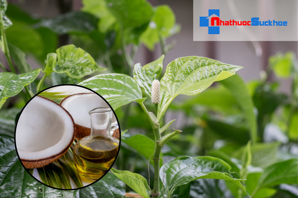 Ủ tóc bằng lá lốt và dầu dừa