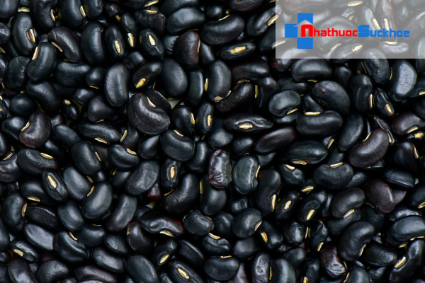 Vì sao đậu đen có tác dụng hỗ trợ trị tóc bạc sớm?