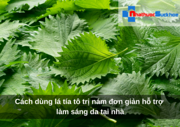 Cách dùng lá tía tô trị nám đơn giản hỗ trợ làm sáng da tại nhà