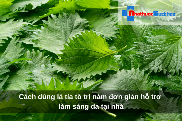 Cách dùng lá tía tô trị nám đơn giản hỗ trợ làm sáng da tại nhà