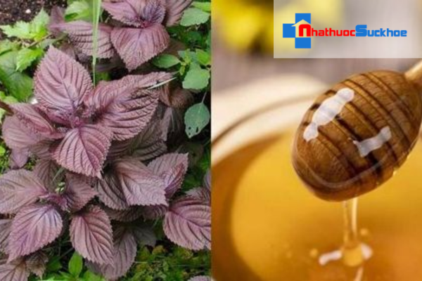 Kết hợp lá tía tô và mật ong